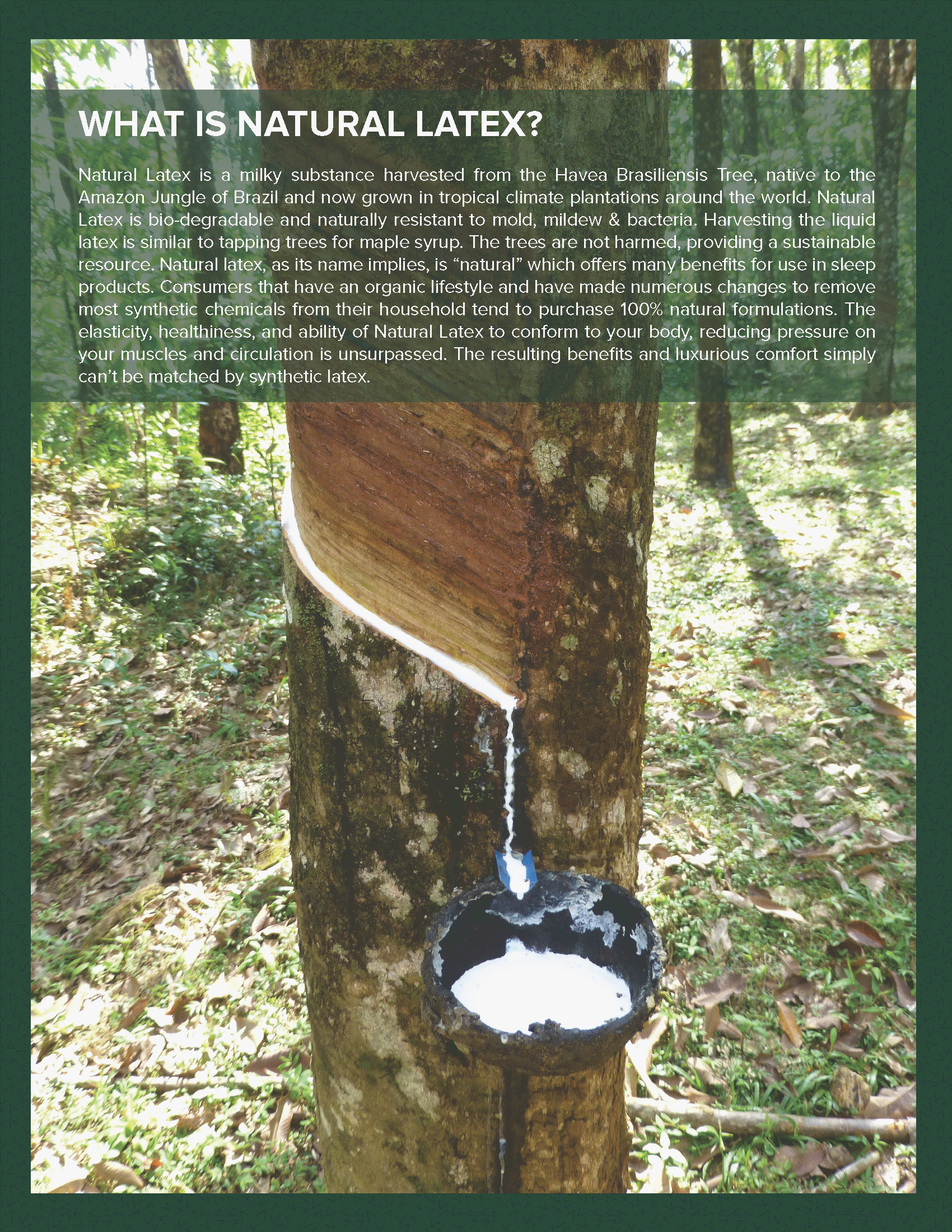 Escondido adjustable hospital bed mattresses